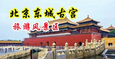 操大毛逼射精中国北京-东城古宫旅游风景区
